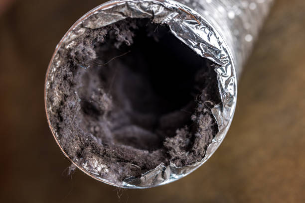 Best Air Duct Cleaning Near Me  in Westphalia, MD