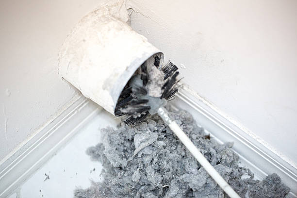 Best HVAC System Cleaning  in Westphalia, MD